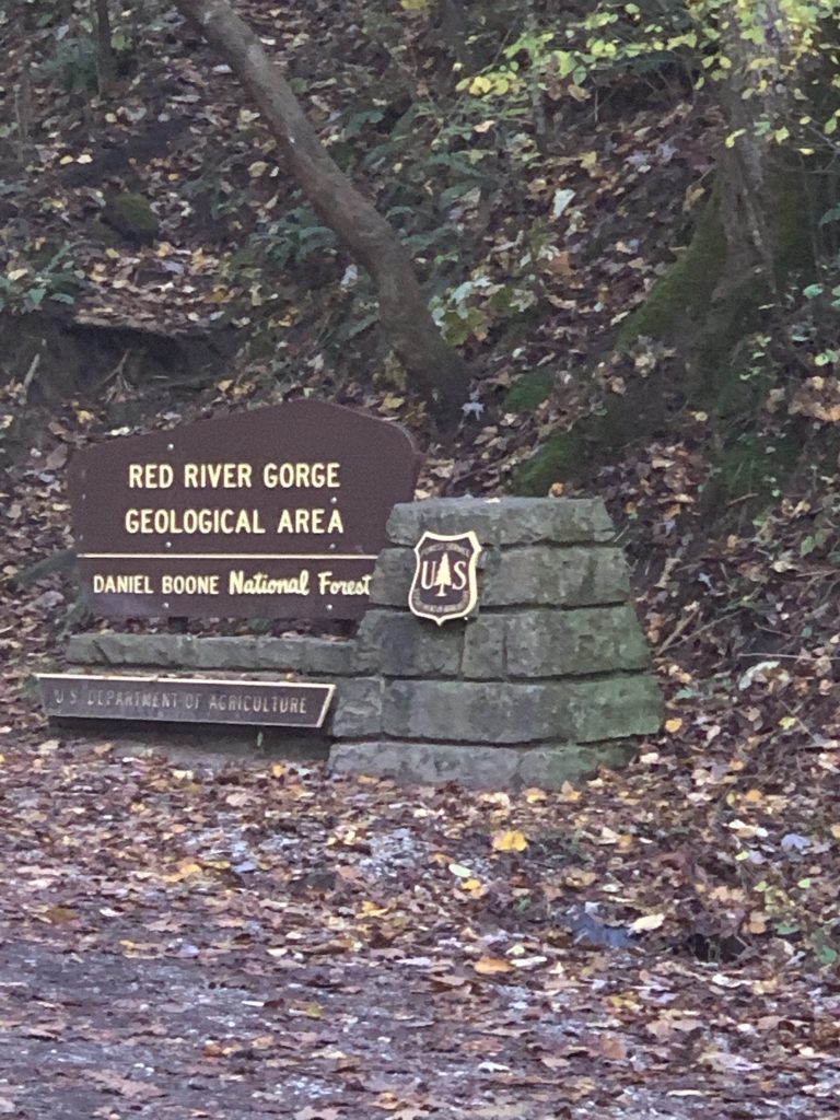 Daniel Boone National Forest