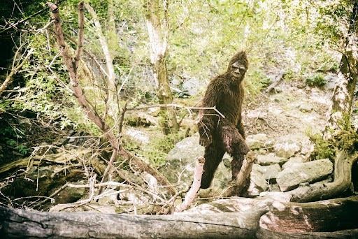 Bigfoot walking in the woods